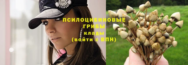 тгк Бугульма