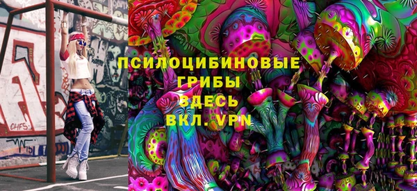 СК Богородицк