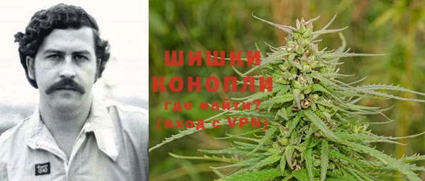 СК Богородицк
