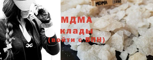 spice Богородск