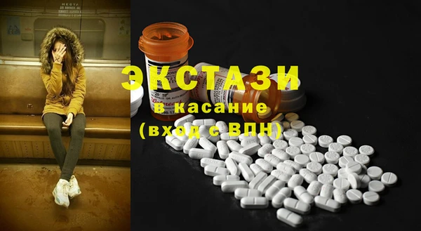 spice Богородск