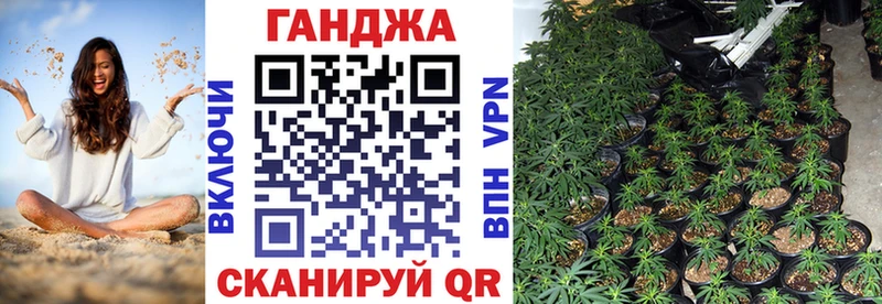 Бошки марихуана ГИДРОПОН  купить  цена  Моздок 